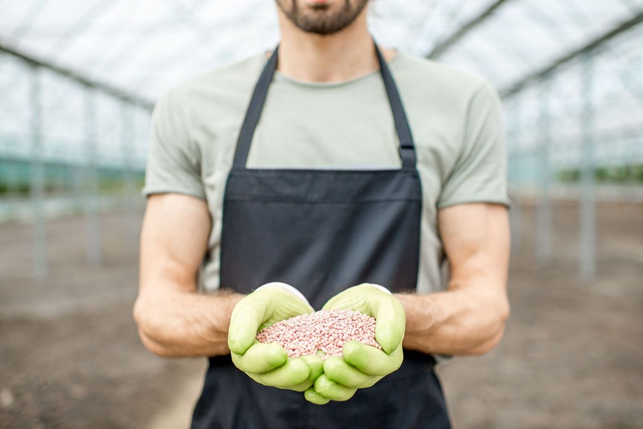 Detalle de fertilizante granulado en unas manos con guantes